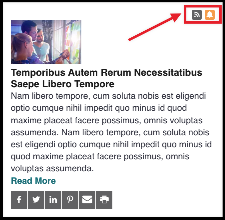 Alert and subscription icons displayed on page
