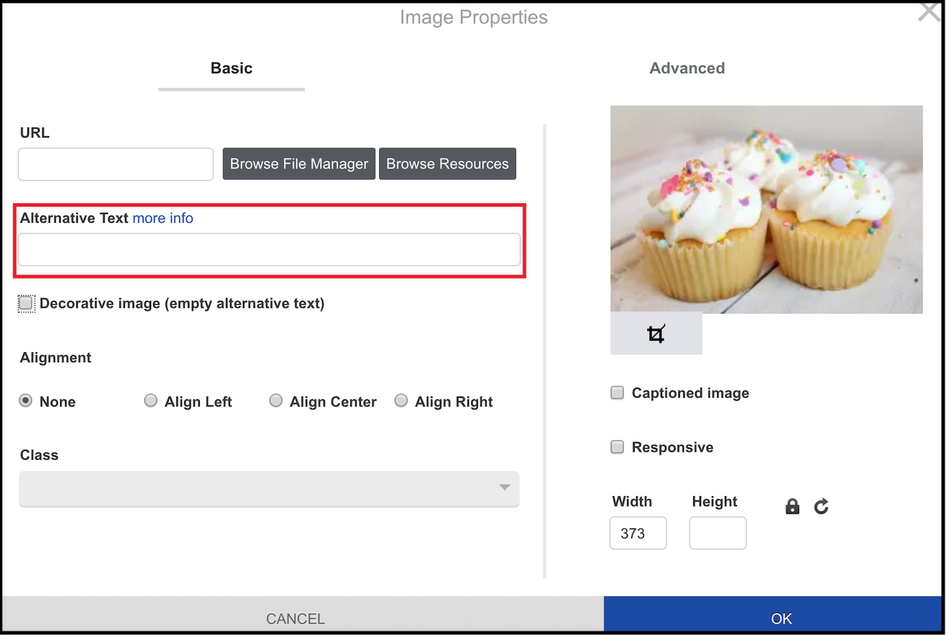 where to enter alternative text in image properties.png