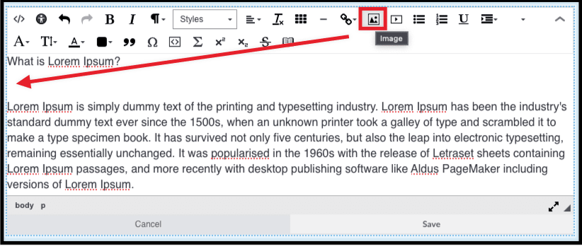 Insert image into the editor.png