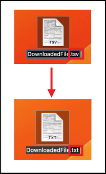 tsv to txt download renaming.png