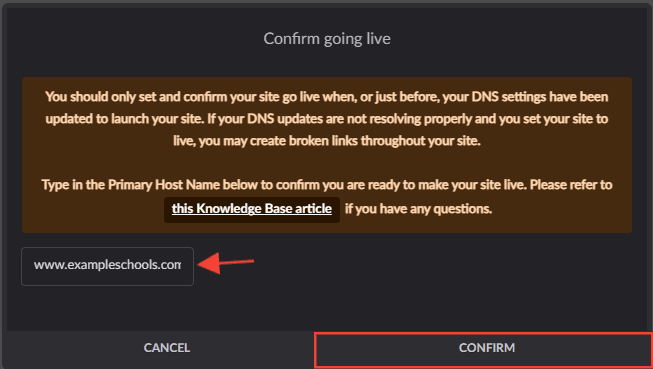 confirmgoing live box with arrow next to the blank for domain.png