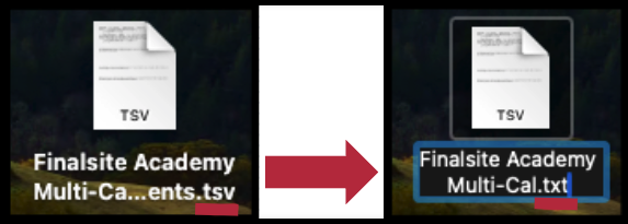 tsv to txt.png