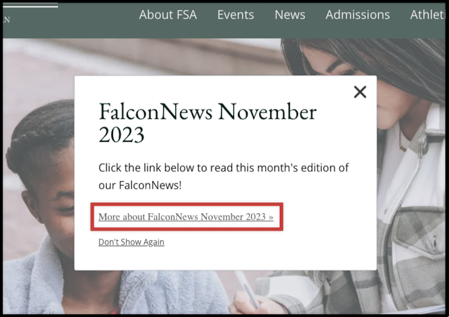 more about falconnews.png