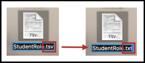 tsv to txt file name change.png