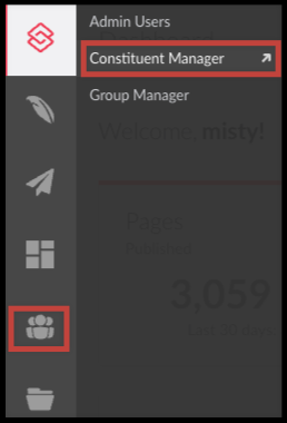 constituent manager in people icon.png