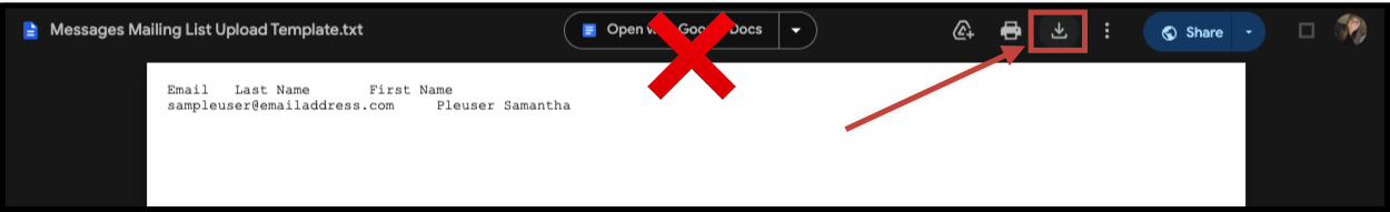 don't open directly into Google docs.png