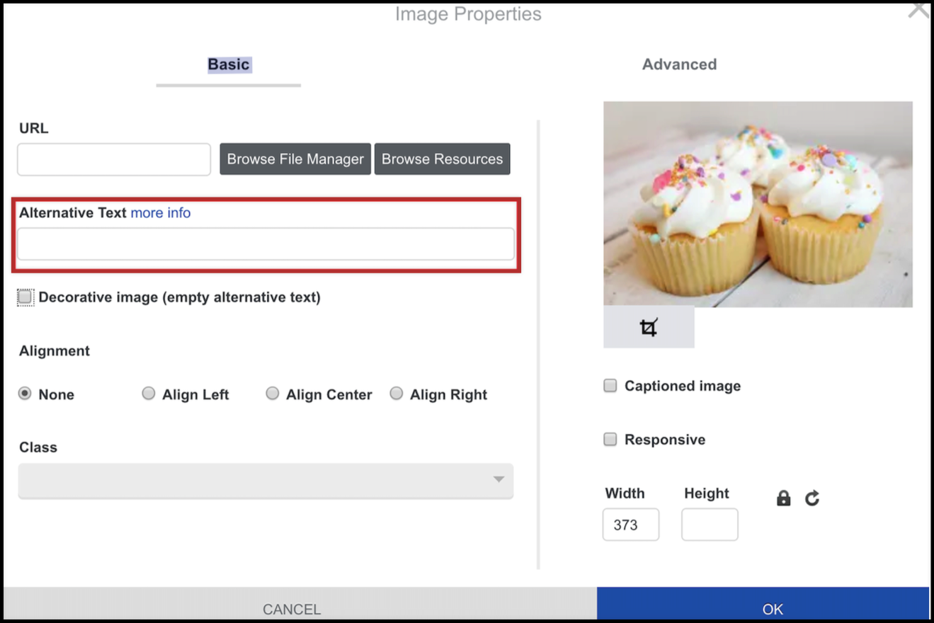 image properties alternative text field.png