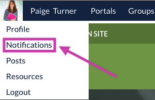 Notifications link on the portal menu