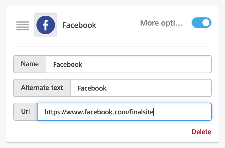 Configuration options for a social icon