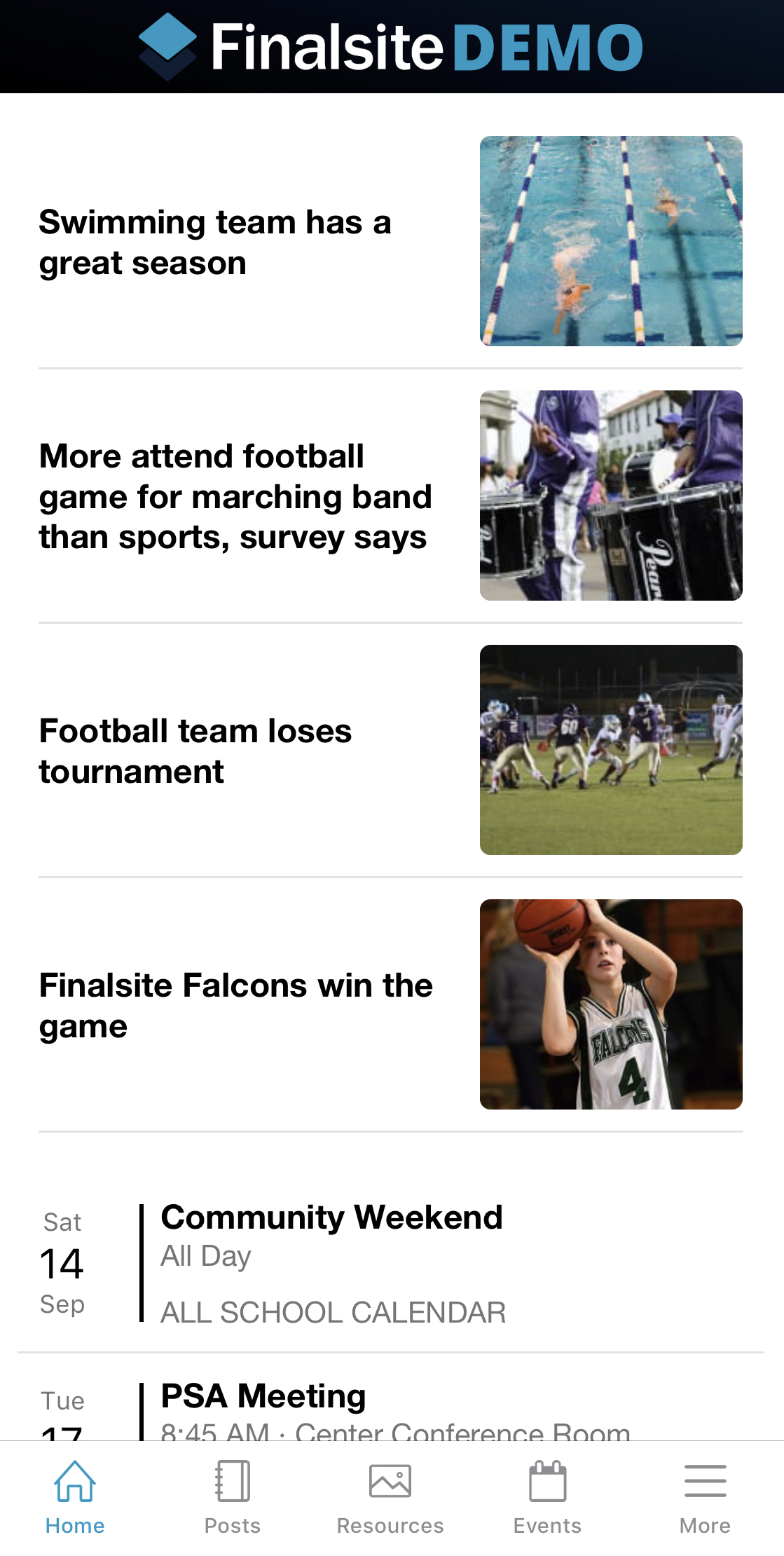 App screenshot with Posts formatted as a list
