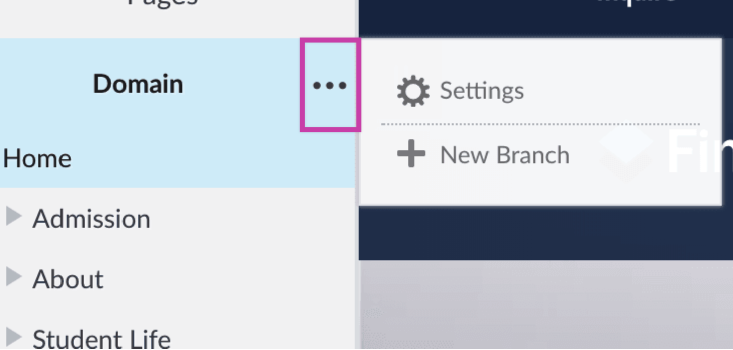 More Action menu next to domain in Composer
