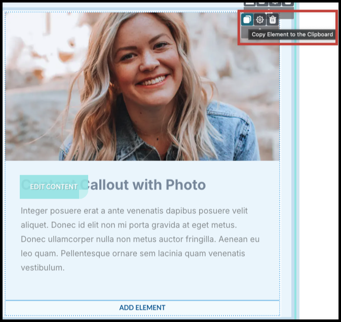 copy element to clipboard.png