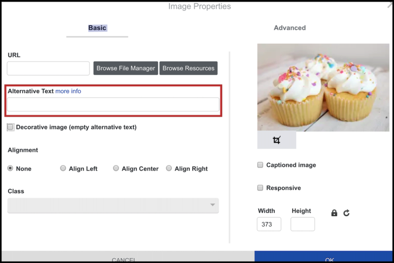 Image Properties window with the Alternative text field
